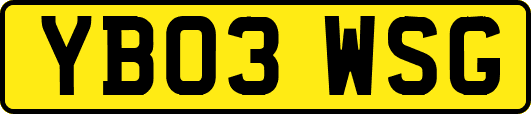 YB03WSG