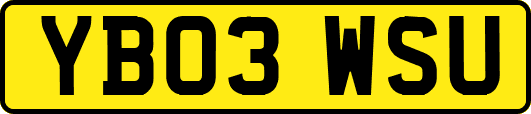 YB03WSU