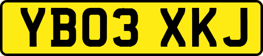 YB03XKJ