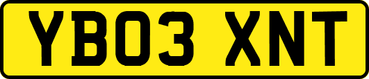YB03XNT
