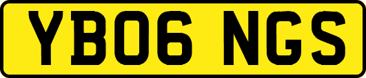 YB06NGS