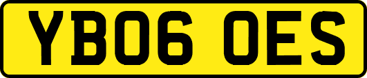 YB06OES