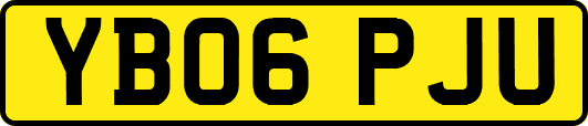 YB06PJU