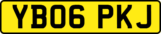 YB06PKJ