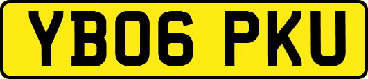 YB06PKU