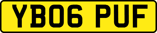 YB06PUF