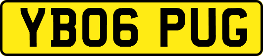 YB06PUG