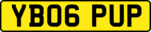 YB06PUP