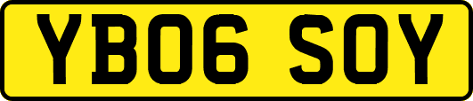 YB06SOY