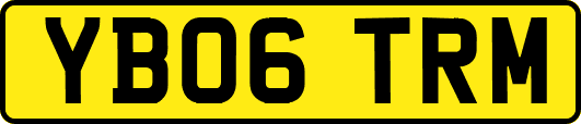 YB06TRM