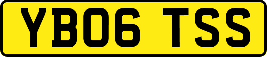 YB06TSS