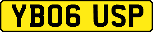 YB06USP