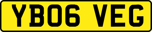 YB06VEG