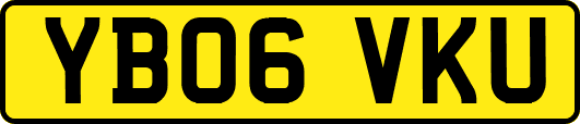 YB06VKU