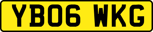 YB06WKG