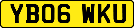 YB06WKU