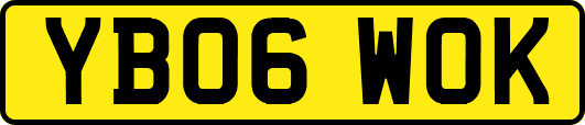 YB06WOK