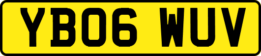 YB06WUV