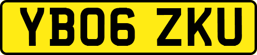 YB06ZKU