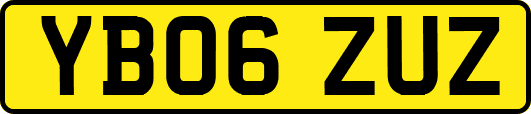 YB06ZUZ