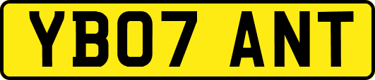 YB07ANT