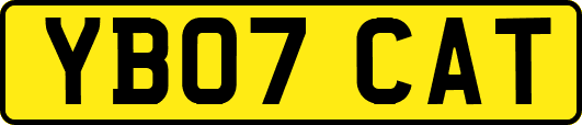 YB07CAT