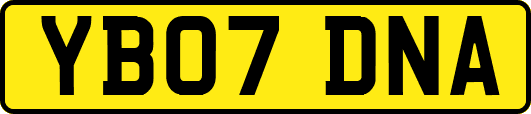 YB07DNA