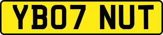 YB07NUT