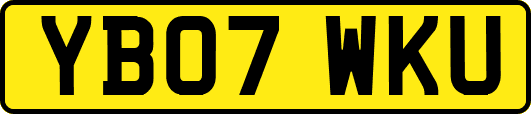 YB07WKU
