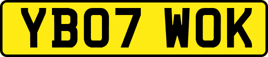 YB07WOK