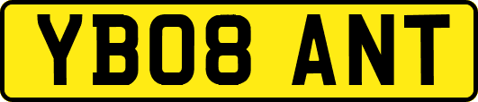 YB08ANT