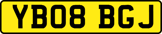 YB08BGJ