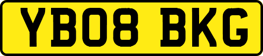 YB08BKG