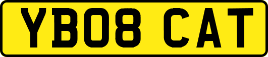 YB08CAT