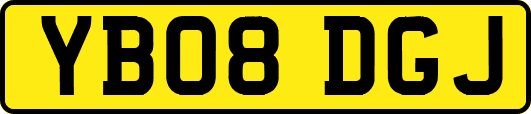 YB08DGJ