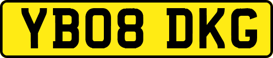 YB08DKG