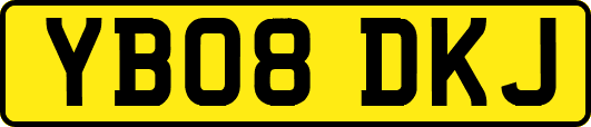 YB08DKJ