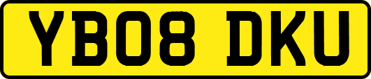 YB08DKU
