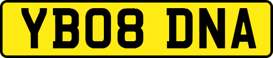 YB08DNA