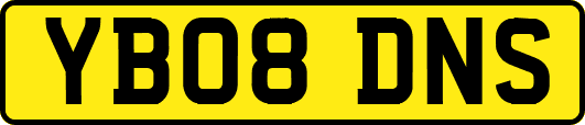YB08DNS