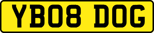 YB08DOG