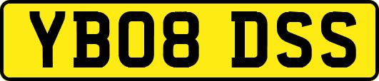 YB08DSS