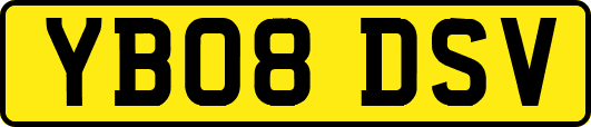YB08DSV
