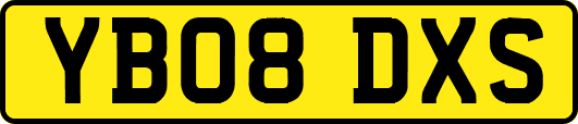YB08DXS