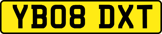 YB08DXT