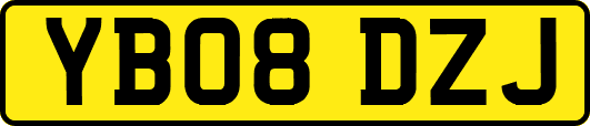 YB08DZJ