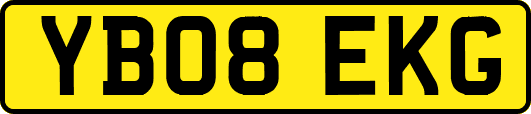 YB08EKG