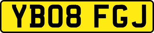 YB08FGJ