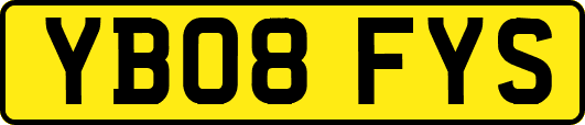 YB08FYS