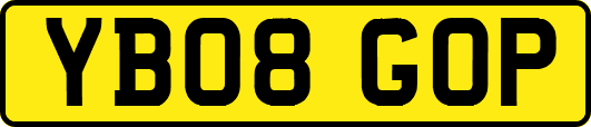 YB08GOP